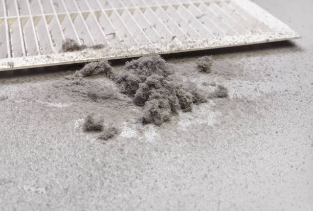 Best Best Air Duct Cleaning Company  in Paincourtville, LA