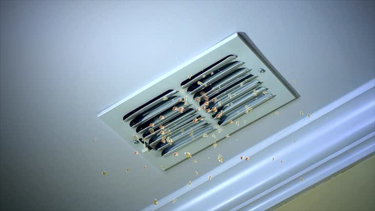 Best Duct Cleaning for Offices  in Paincourtville, LA